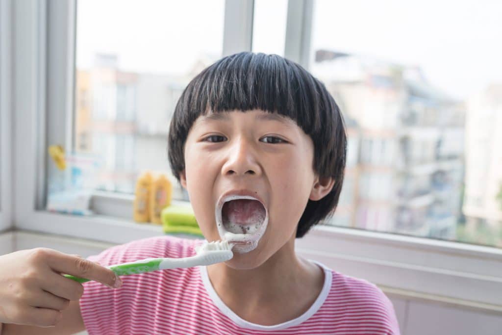 how-often-should-a-kid-go-to-the-dentist-maplewood-nj